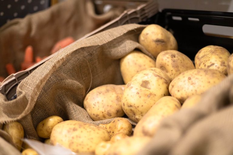 a-day-at-freeshop-36